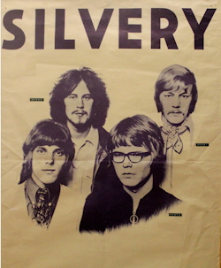 Silvery2
